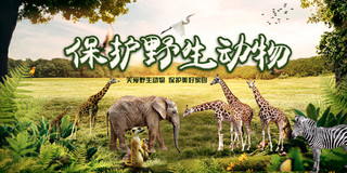 保护野生动物保护美好家园森林动物群动物园海报展板
